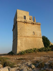 Torre Colimena2