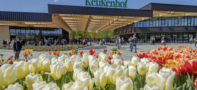 Il parco Keukenhof riapre al pubblico per la sessantasettesima edizione